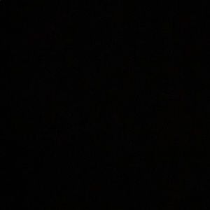 Meet your Posher, Rayna